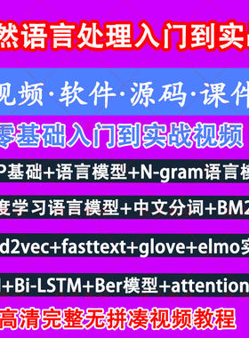 NLP基础自然语言处理模型Bert文本分类中文分词技术GPT视频教程
