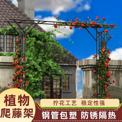 花园拱门花架葡萄架庭院植物爬藤