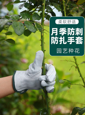 采购产品防刺防水手套，园艺，花卉种植，玫瑰，花园修剪，玫瑰花