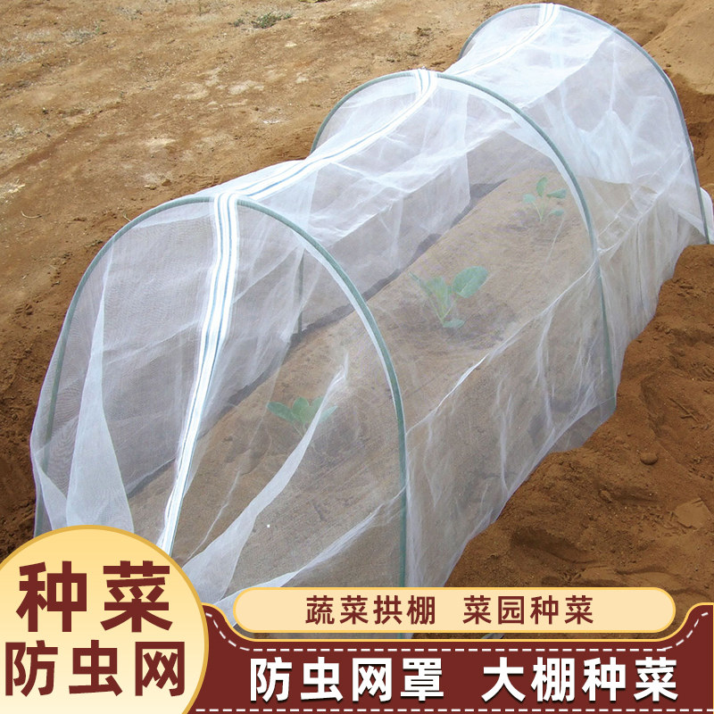 大棚菜园庭院多肉专用通风防虫网图片