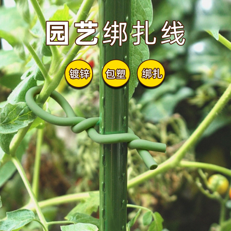 苗之助植物固定捆绑软扎线图片