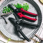 园艺剪刀水果树葡萄修枝剪果枝园林花艺剪刀园丁欧月粗枝裁剪器