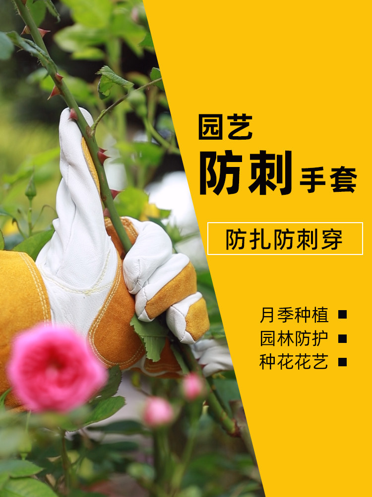 玫瑰防刺手套长女士防刺防穿刺加厚耐磨园艺花园花卉种植除草花园