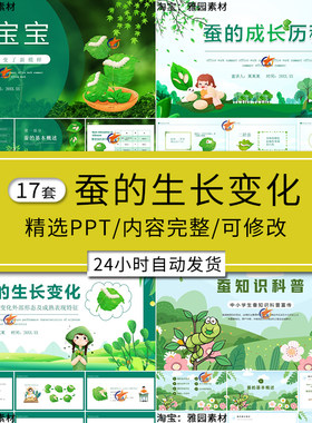 蚕的生长变化ppt模板蚕宝宝的成长经历外形锐变b知识科普观察记录