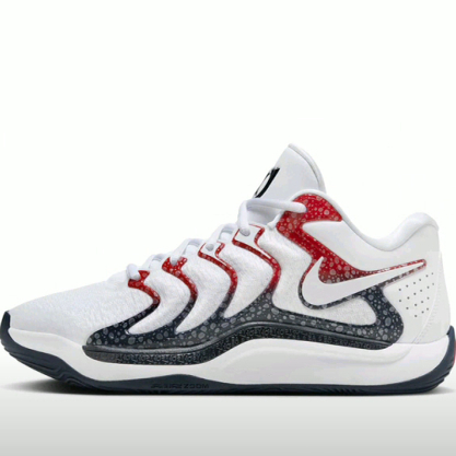 Nike KD 17 篮球鞋 缓震防滑耐磨 FJ9487-101 f广东zq
