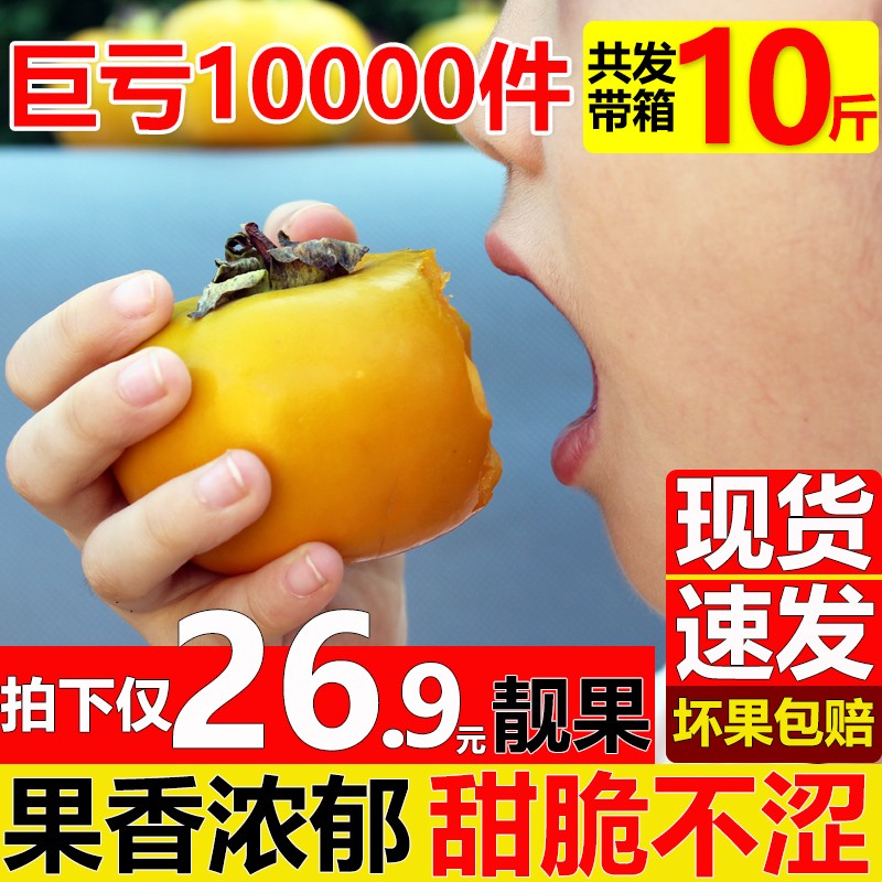 Gongcheng Persimmon Hard persimmon vacuum packing Season fresh fruit Persimmon 10 pregnant woman Full container wholesalein the Aquatic meat/Fresh fruits and vegetables/Cooked , Fresh fruit , Persimmon  category - from Buy2taobao.com to provide professional Taobao agent buy service