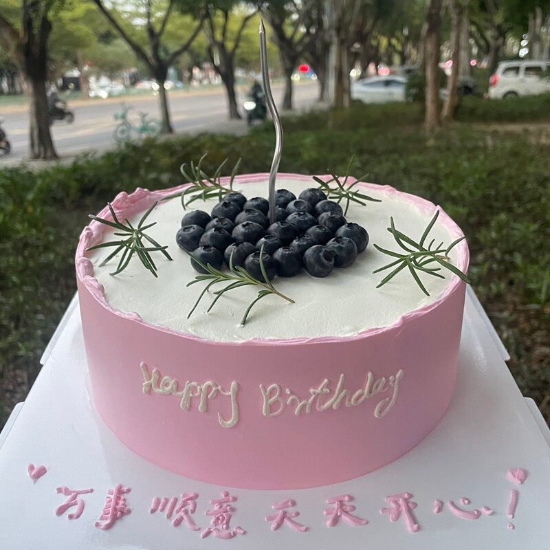 粉色系送女朋友闺蜜蓝莓艺术网红生日蛋糕同城配送主州成都珠海定