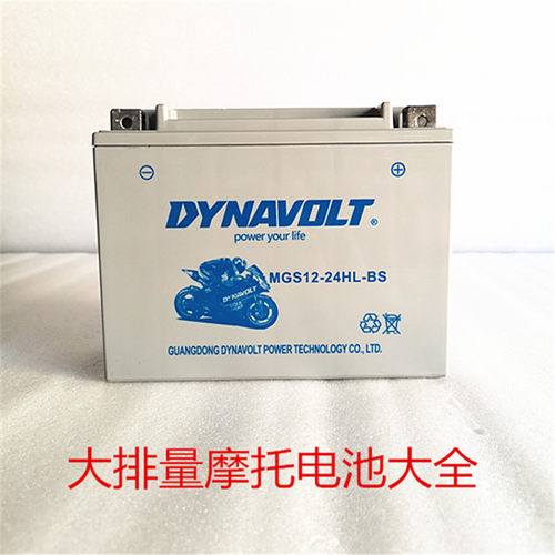 庞巴迪行政版倒三轮蜘蛛侠RTS1000C/990电池YTX24HL摩托车12v电瓶
