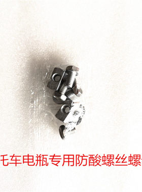摩托车电瓶专用螺丝螺母哈雷宝马