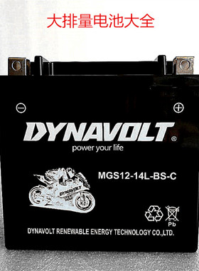 适用哈雷883猛狮摩托车电池12v14L电瓶X48硬汉1200通用750/V72X72