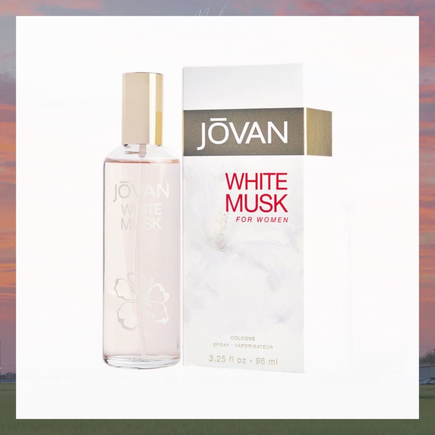 现货正装 温柔伪体香 jovan 祖梵白麝香香水女士小众礼物试香分装
