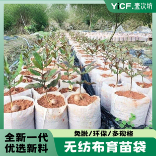 一次性无纺布种植袋植树袋加厚特大号营养袋果树扦插控根器营养袋
