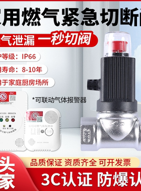 燊顺电磁阀 家用厨房DN15DN20天然气煤气泄漏 电磁式切断阀