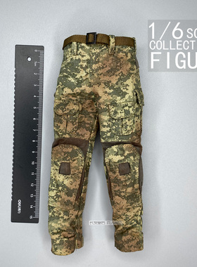 1/6 兵人 12寸 Devil toys WOO科幻军事 Secret Master 裤子