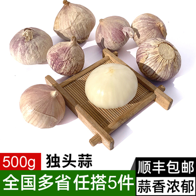 独头蒜500g 云南大蒜独头干大蒜头独蒜生吃烹饪香料 5件顺丰