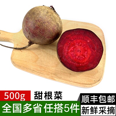 甜根菜500g 甜菜根 紫菜头 新鲜蔬菜 西餐榨汁摆盘装饰食材