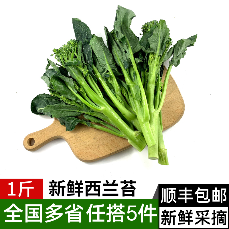 新鲜西兰苔500g时令蔬菜青花苔小西兰花苔清炒食材满5件