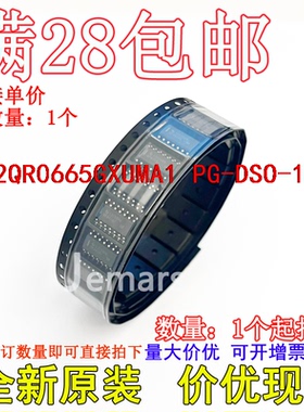 ICE2QR0665GXUMA1  PG-DSO-12-10全新原装芯片直拍