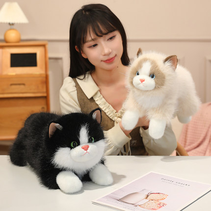 可爱仿真布偶猫咪公仔毛绒玩具布偶猫双肩包背包送女生生日礼物