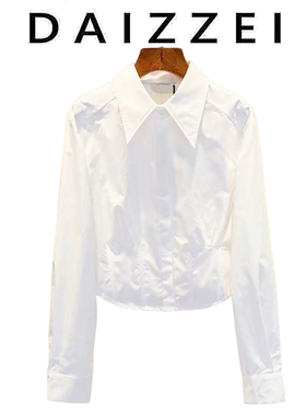 DAIZZEI~高级感翻领风秋季短款上衣女秋新款名媛法式小众长袖衬衫