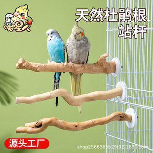 鹦鹉站杆杜鹃根天然树枝原木站棍鸟笼配件栖木树杈玄凤牡丹鸟