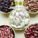 东北大碴粥伴侣 花芸豆 红芸豆 黑芸豆 软烂易熟 白芸豆 5种芸豆