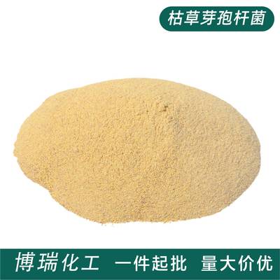 现货供应农用水产畜牧养殖用枯草芽孢杆菌饲料添加剂 枯草芽孢杆