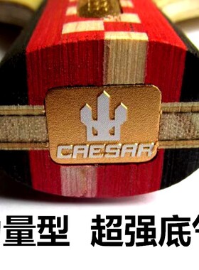 凯撒新品力量速度型夹板乒乓球拍