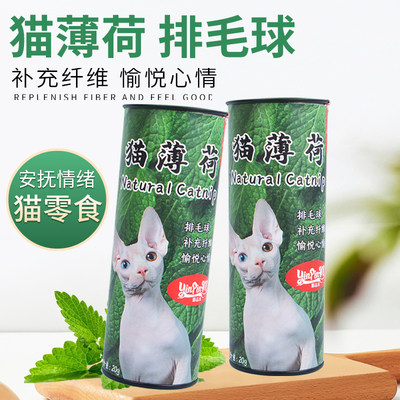 食用种子洁齿猫薄荷