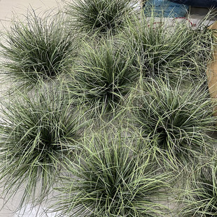 仿真狗尾巴草堆草垛假草造景落地装饰杂草狼尾草绿植草团小草摆件
