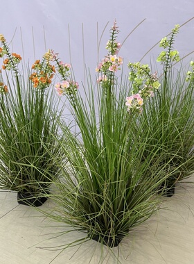 清新带花草堆仿真蒲公英风铃花
