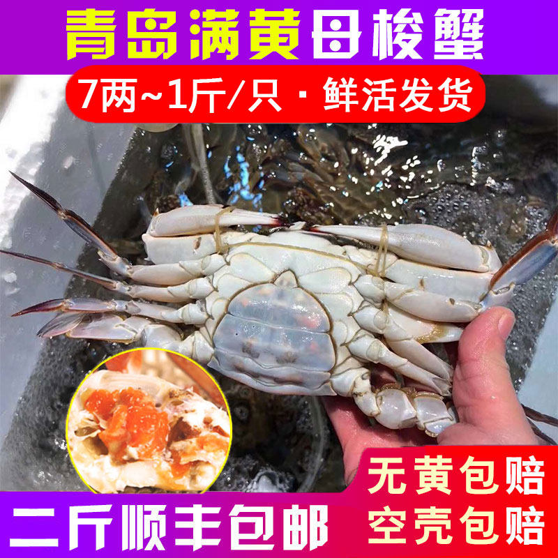 【保鲜不保活】梭子蟹红膏蟹新鲜母蟹7两青岛野生海蟹飞蟹螃蟹