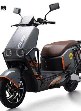 金箭电动车新款700PLUS电动两轮摩托车带TCS坡道辅助智能蓝牙