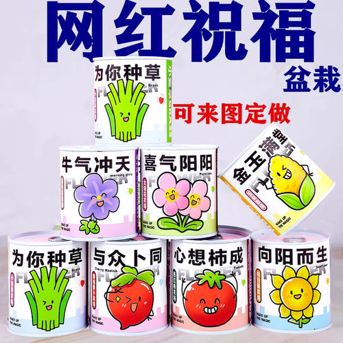 儿童植物罐头盆栽创意礼物