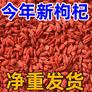 净重发货宁夏特一级头茬枸杞宁夏高品质枸杞500g养殖饲料批发泡酒