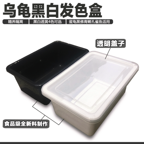 乌龟发色隔离盒剃刀加温饲养