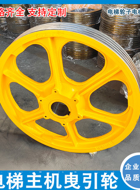 适用于天津主机曳引机轮720/595/750/660曳引轮13VTR电梯配件