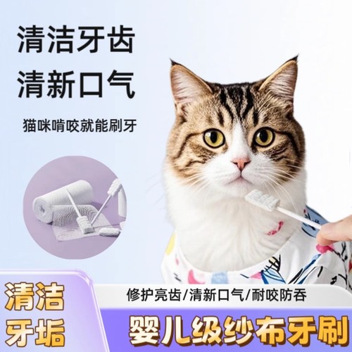 猫咪啃咬牙纱布牙刷宠物猫咪专用