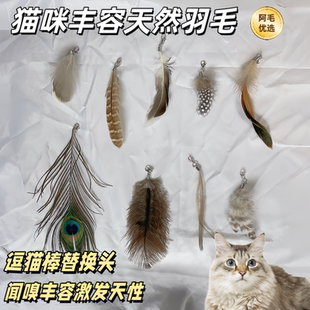 猫咪丰容玩具逗猫棒羽毛替换头小猫丰容玩具孔雀毛鸵鸟毛山鸡