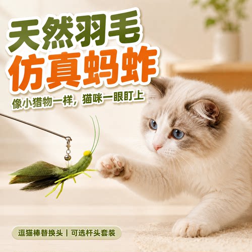 天然羽毛仿真蚂蚱逗猫棒替换头猫咪玩具自嗨解闷磨牙耐咬宠物用品