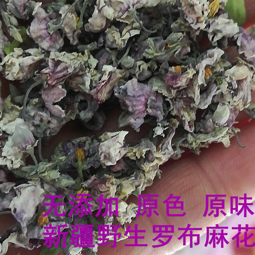 2025年新货新疆野生罗布麻花野麻花茶新鲜500g一袋包邮