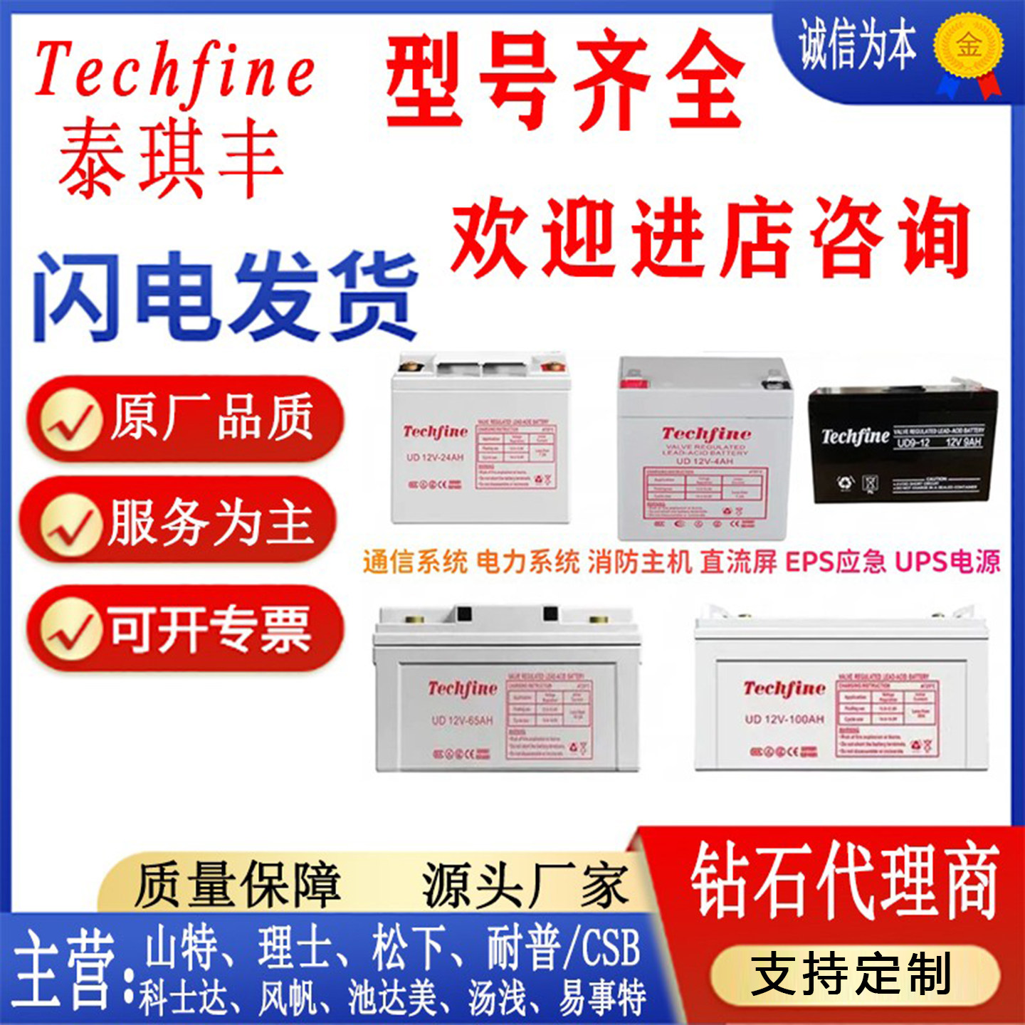 Techfine泰琪丰蓄电池全国包邮
