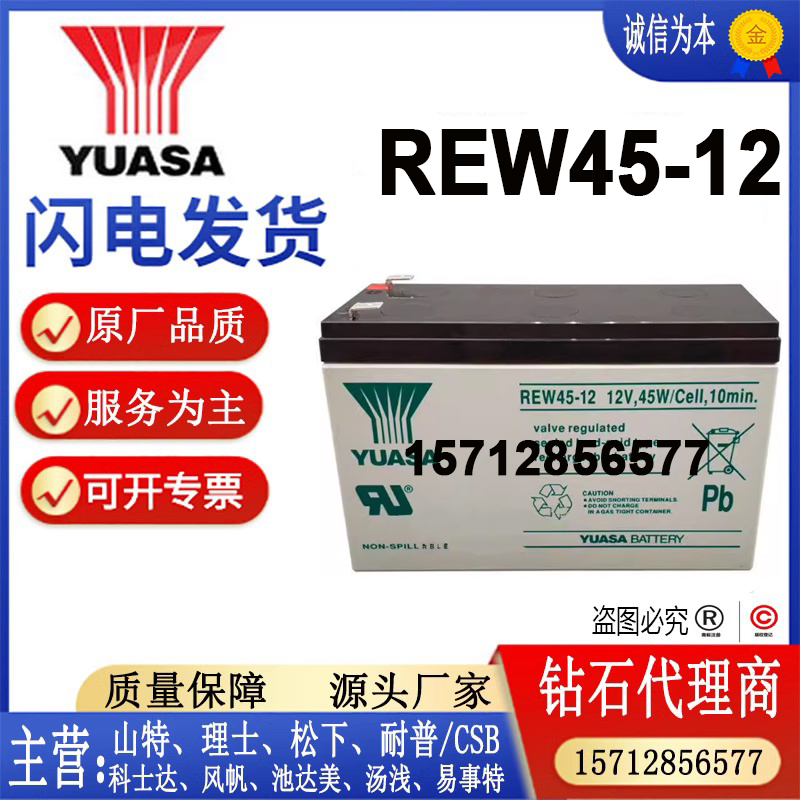YUASA汤浅蓄电池REW45-12包邮