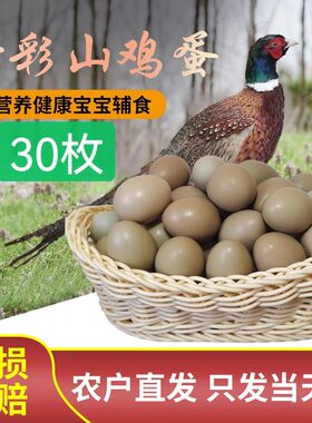 七彩山鸡蛋野鸡蛋新鲜正宗营养高