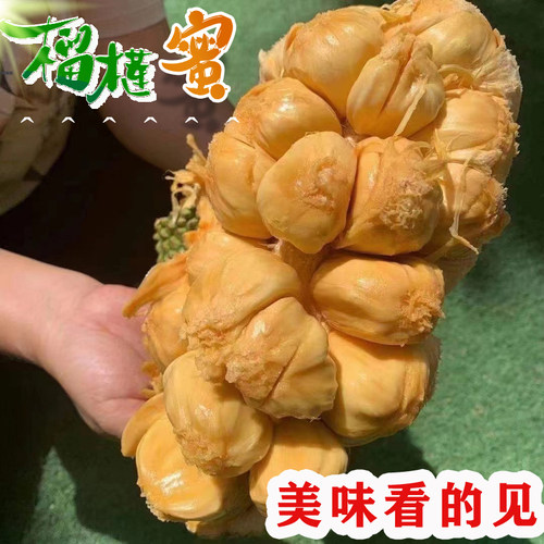 顺丰肉多果发货榴莲蜜