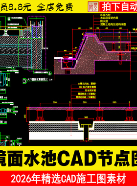 C11镜面水池景观大样剖面详图支撑器CAD施工图集