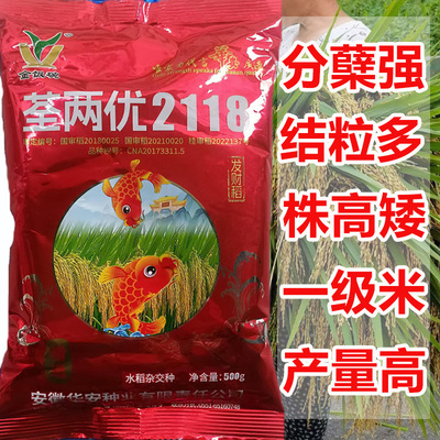 国审正品高产杂交水稻种子