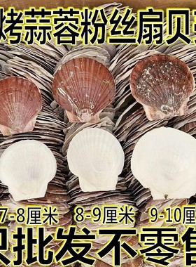 烧烤用蒜蓉粉丝白红色大小蒸扇贝壳手工夏威夷半壳大托盘贝壳包邮