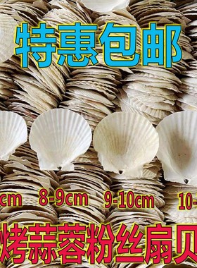 扇贝壳烧烤用蒜蓉粉丝手工白红色大小蒸夏威夷半壳大托盘贝壳包邮