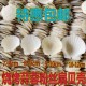 扇贝壳烧烤用蒜蓉粉丝手工白红色大小蒸夏威夷半壳大托盘贝壳 包邮